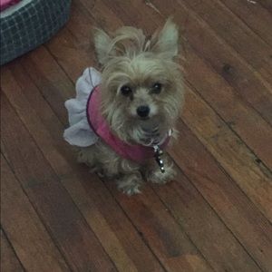 Meet your Posher, Giache